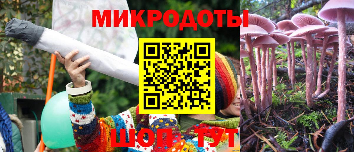 Псилоцибиновые грибы MAGIC MUSHROOMS  Вход с VPN  Чита  Псилоцибиновые грибы Magic Shrooms 