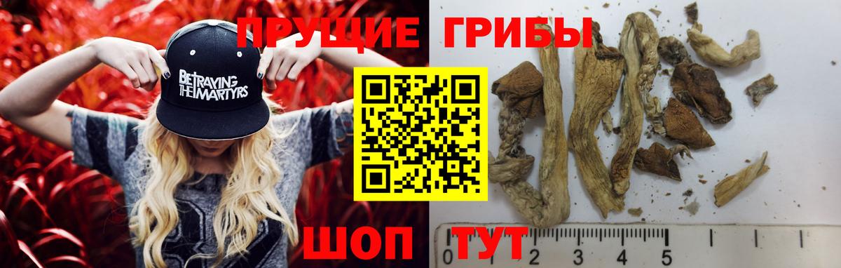 Псилоцибиновые грибы прущие грибы Чита